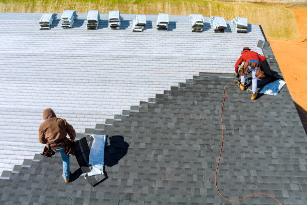 Roof Maintenance